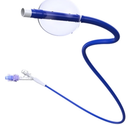 Balloon Guide Catheter